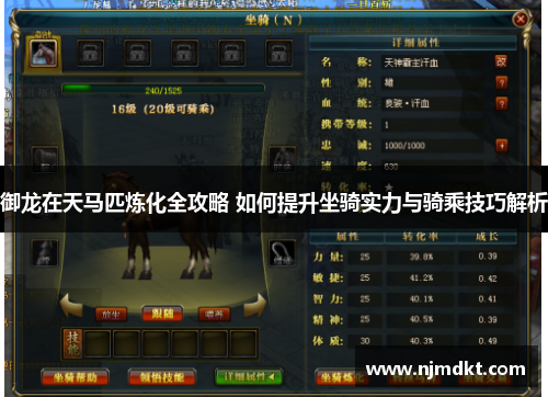 御龙在天马匹炼化全攻略 如何提升坐骑实力与骑乘技巧解析