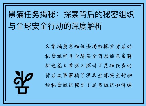 黑猫任务揭秘：探索背后的秘密组织与全球安全行动的深度解析